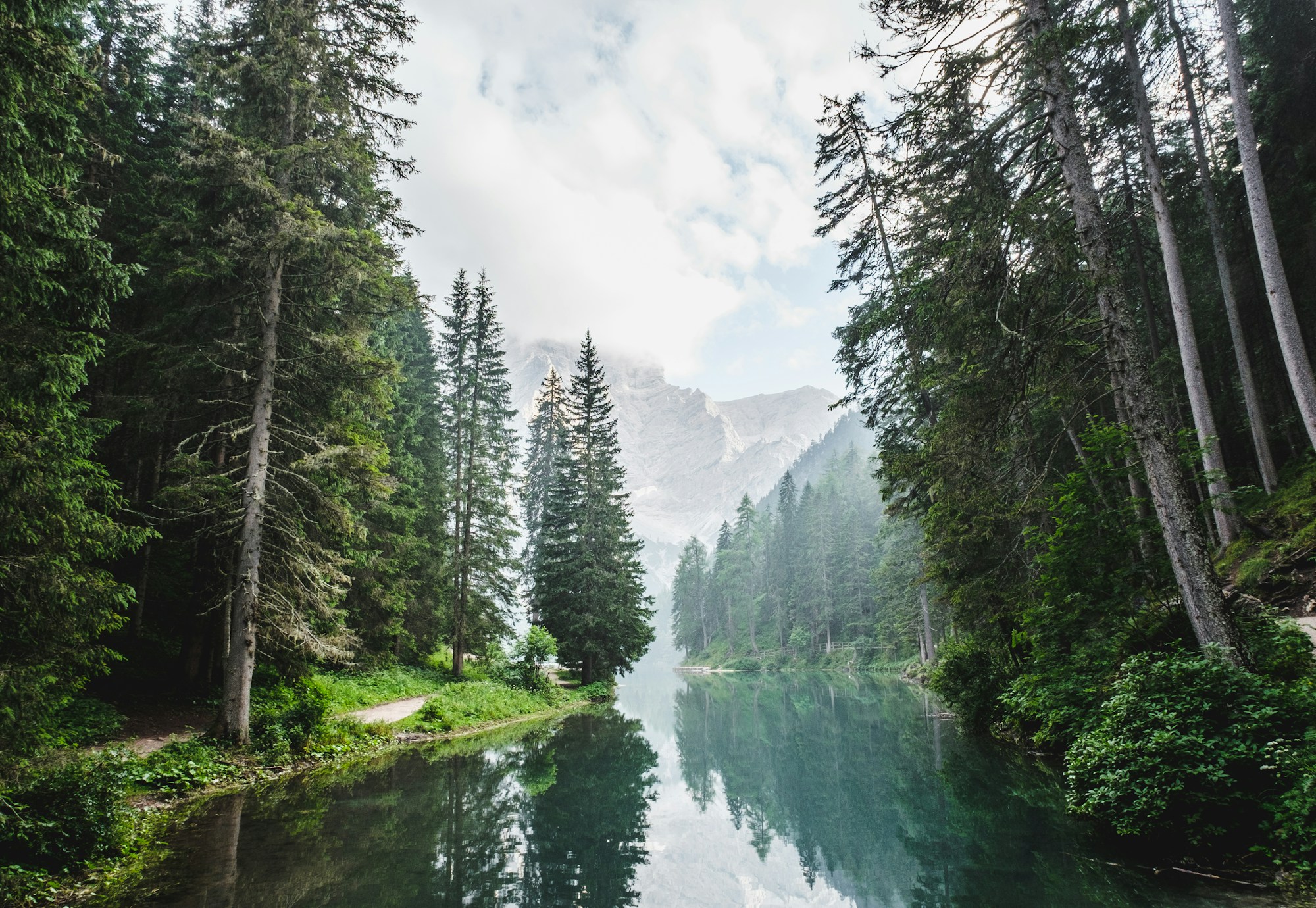Conservation initiatives